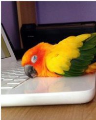 Jobseeker photo