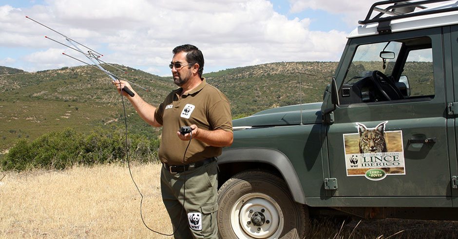 Camera traps also capture poachers walking through the jungle.