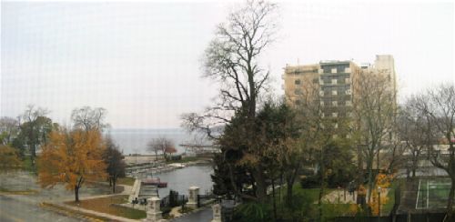11NOVPAN1.JPG