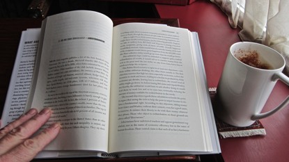 15may1v.jpg