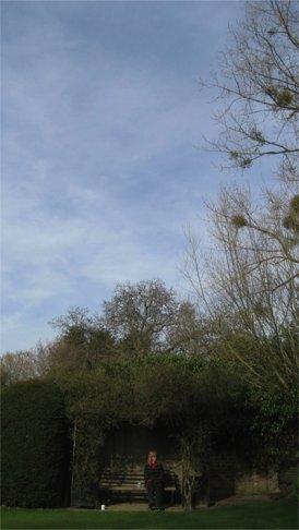16mar6a.jpg