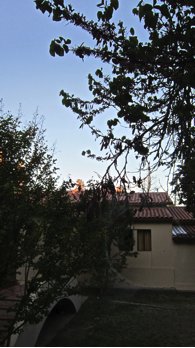 18oct1v.jpg