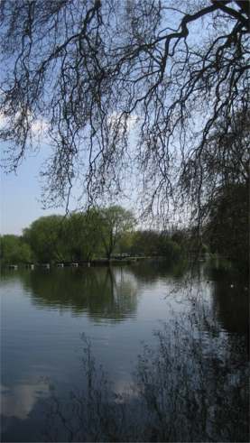 19apr21a.jpg