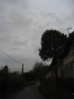 19dec5a.jpg