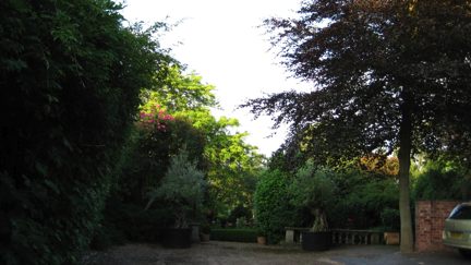 29jun14z.jpg