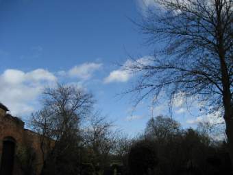 IMG0016.JPG