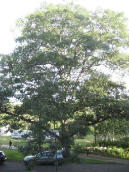 IMG3129.JPG
