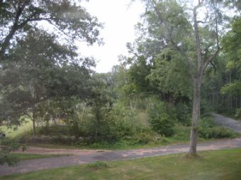 IMG3187.JPG
