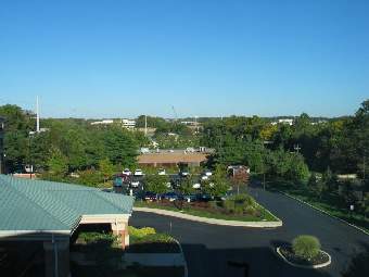IMG7367.JPG
