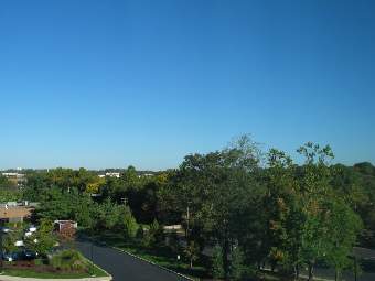 IMG7373.JPG