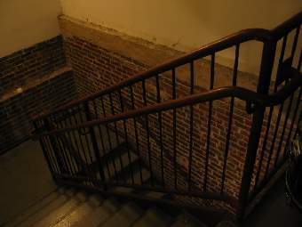 IMG7390.JPG