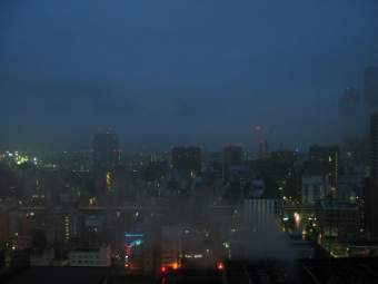 IMG8395.JPG