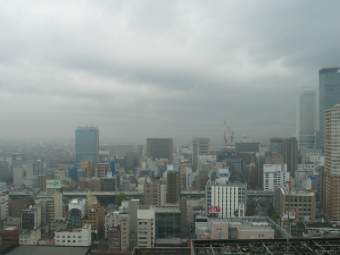 IMG8398.JPG