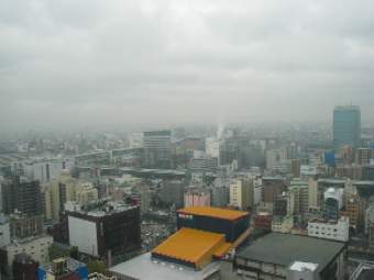 IMG8407.JPG