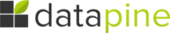 Datapine logo
