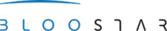 Bloostar logo