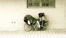 Broxtowe Youth Homelessness