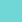 Magic Mint CSW