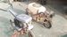Vendo motocultor y fumigadora