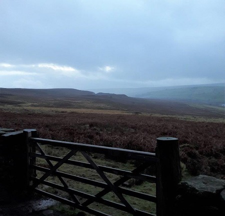 view onto the valley