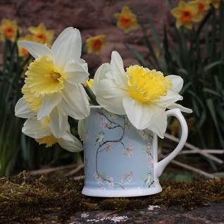 blue tit and blossom china mug and daffodills