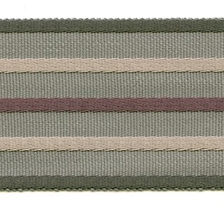 Fletcher wide braid in juniper colour haberdashery