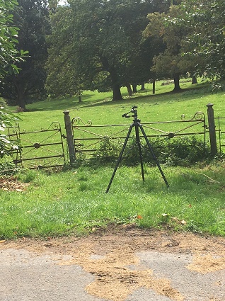 last shot of the day