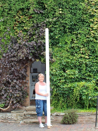 maz and the 3m roller blind fabric