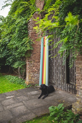 zoe guarding the roller blind fabric