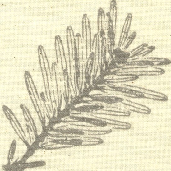 eden natural roller blind fabric print eden natural roller blind fabric print