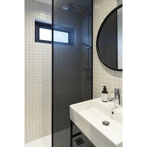 Squid - Textile Window Film - Coal