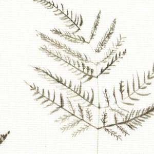 eden fern print for roller blind fabrics close up eden - white
