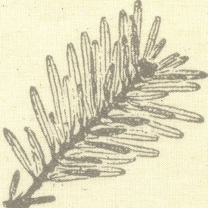 eden natural roller blind fabric print eden - natural