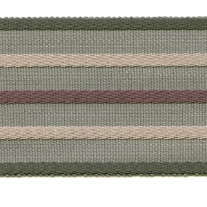 fletcher stripe trim - juniper