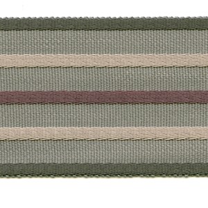 fletcher stripe trim - juniper