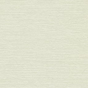 notus blockout - platinum notus blackout extra wide roller blind fabric in platinum