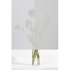 Squid - Textile Window Film - Bone Squid - Textile Window Film - Bone