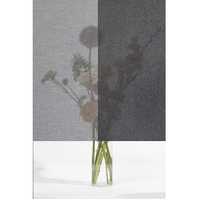 Squid - Textile Window Film - Rock Squid - Textile Window Film - Rock