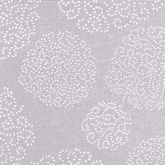 asha - indian elephant grey