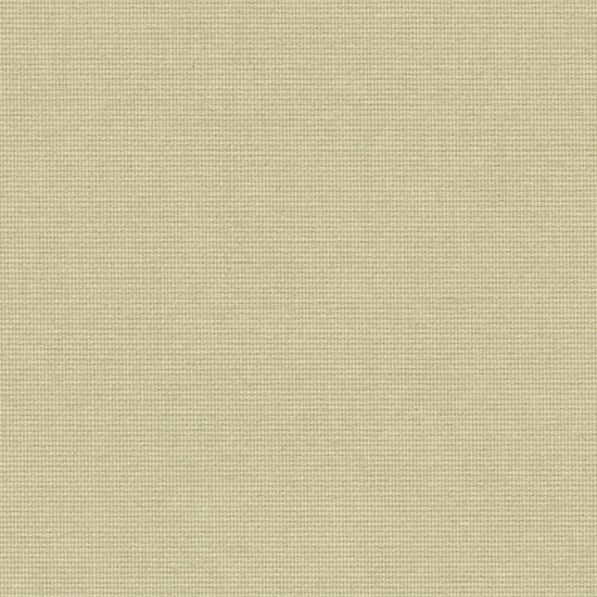 canvas - biscuit
