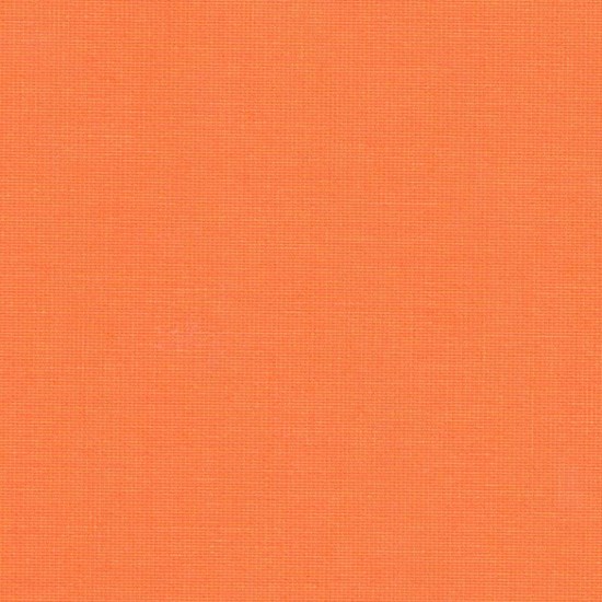 solo - carrot