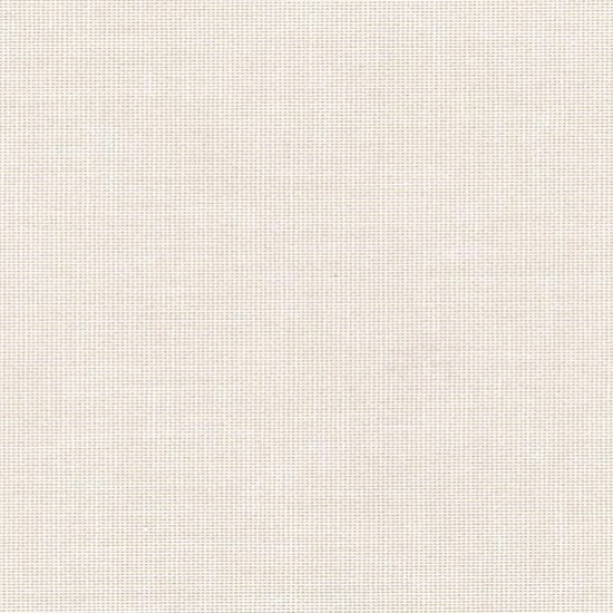 solo - eggshell