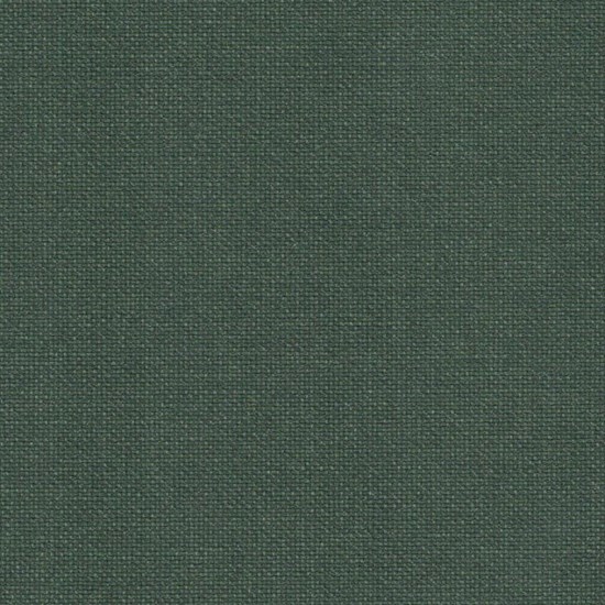 canvas - forest