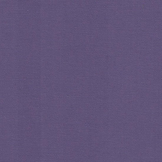 solo - plum
