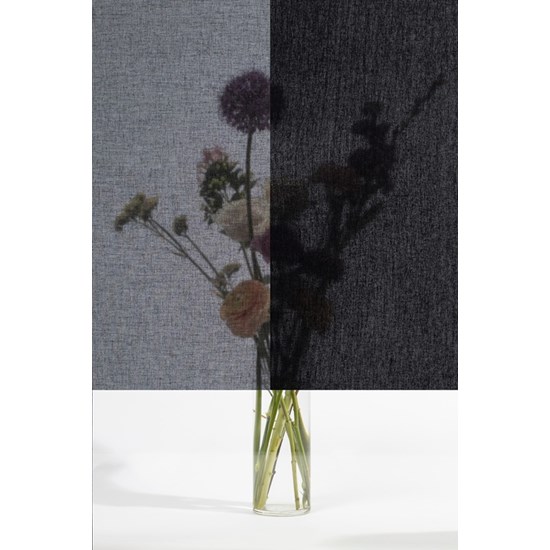 Squid - Textile Window Film - Coal Squid - Textile Window Film - Coal