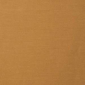 coma blockout - ochre