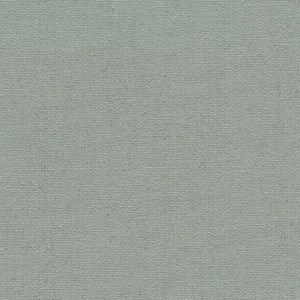 polar - goose grey