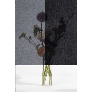 Squid - Textile Window Film - Coal