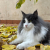 estherl
