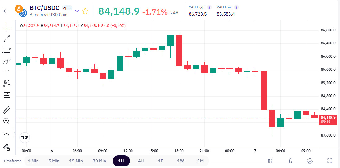 /Content/Images/Pages/01_BTC-USDC_1H_candlestick_chart.jpeg
